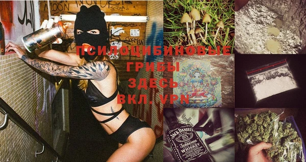 первитин Снежинск