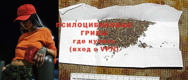 стаф Слюдянка