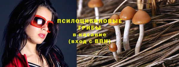 герыч Снежногорск