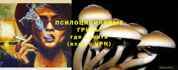 первитин Снежинск